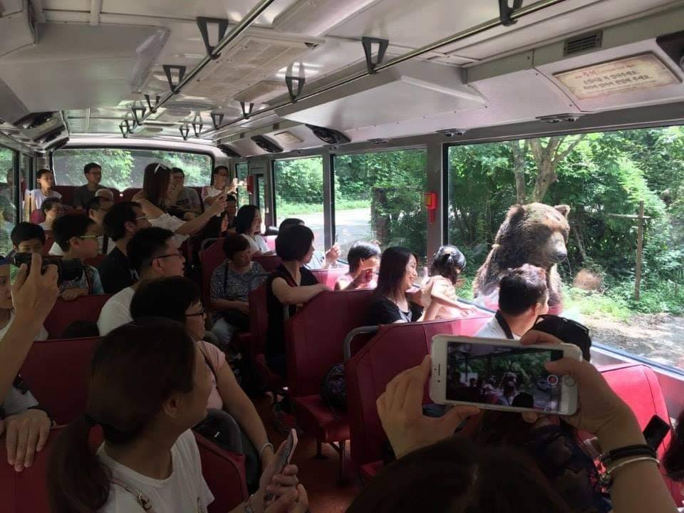 (團號:EV-01)  EVERLAND 愛寶樂園  / 加勒比海灣 一天團