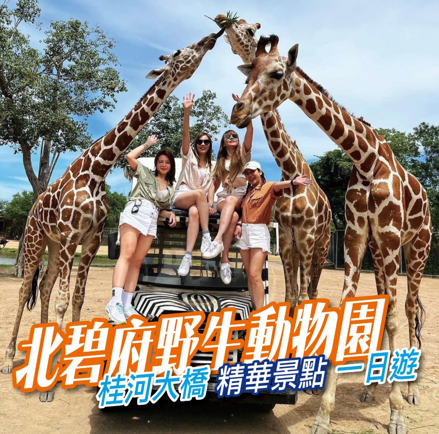 (團號:KSP-01) 北碧府野生動物園, 桂河大橋, 精華景點一天團