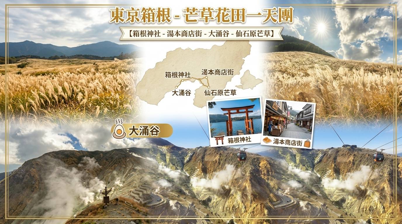 東京箱根-芒草花田一天團【箱根神社-湯本商店街-大涌谷-仙石原芒草】(KTH-01A)
