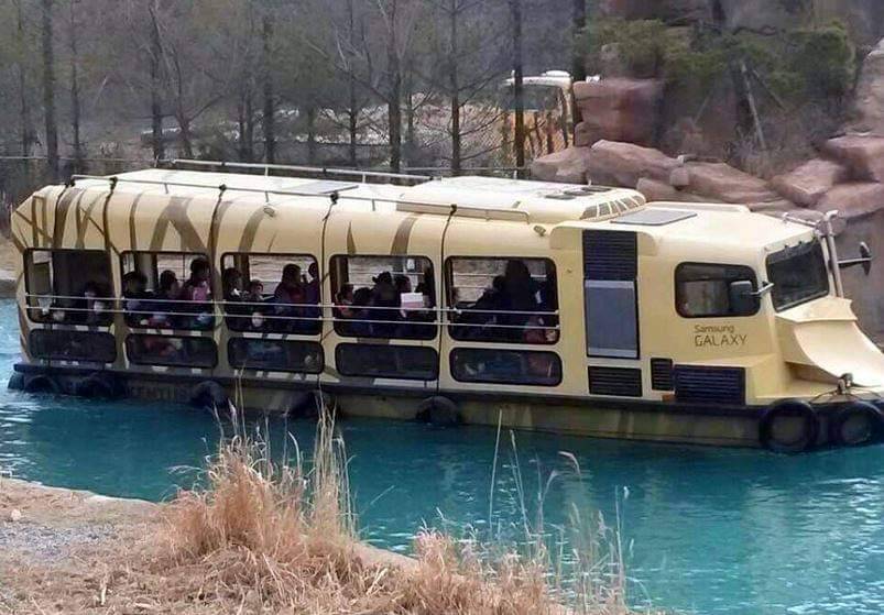 (團號:EV-01)  EVERLAND 愛寶樂園  / 加勒比海灣 一天團