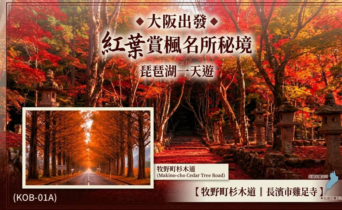 大阪出發◆紅葉賞楓名所秘境◆琵琶湖一天遊【牧野町杉木道 ▎長濱市雞足寺   】(KOB-01A)