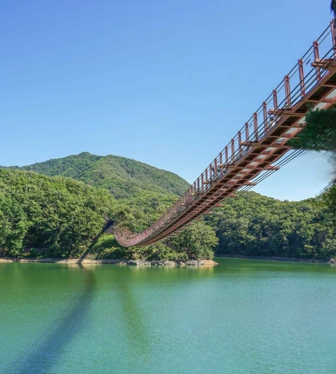 (團號:CH-01) 由早玩到晚美食一天團｜湖水吊橋 & 任吃貝殼、 鮑魚 、海鮮 & 打卡森林系咖啡廳