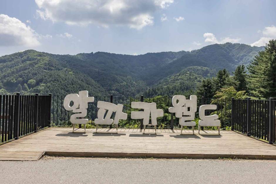 (團號 : HP-01/26) <一人成團> 採摘當季香甜水蜜桃 ｜暢玩人氣 Luge滑板車｜親親草泥馬 一天團｜首爾出發