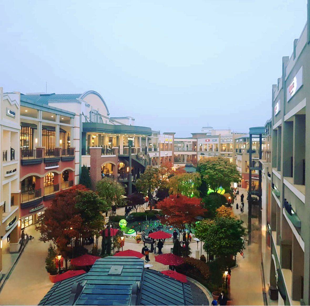 (團號:CH-01) 由早玩到晚美食一天團｜湖水吊橋 & 任吃貝殼、 鮑魚 、海鮮 & 打卡森林系咖啡廳
