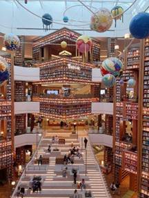 (團號 : PXZ-01/26) <一人成團> 蘋果西瓜×星空圖書館×  最大規模室內動物園 暢玩 一天團