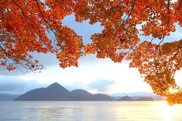 札幌出發 洞爺湖煙花大會二天遊【6000株掃帚草、安膝忠雄頭大佛、紅葉祕景神仙沼、定山溪、支笏湖畔、洞爺湖露天溫泉、北海道、蘋果園任食放題】KHT-02A