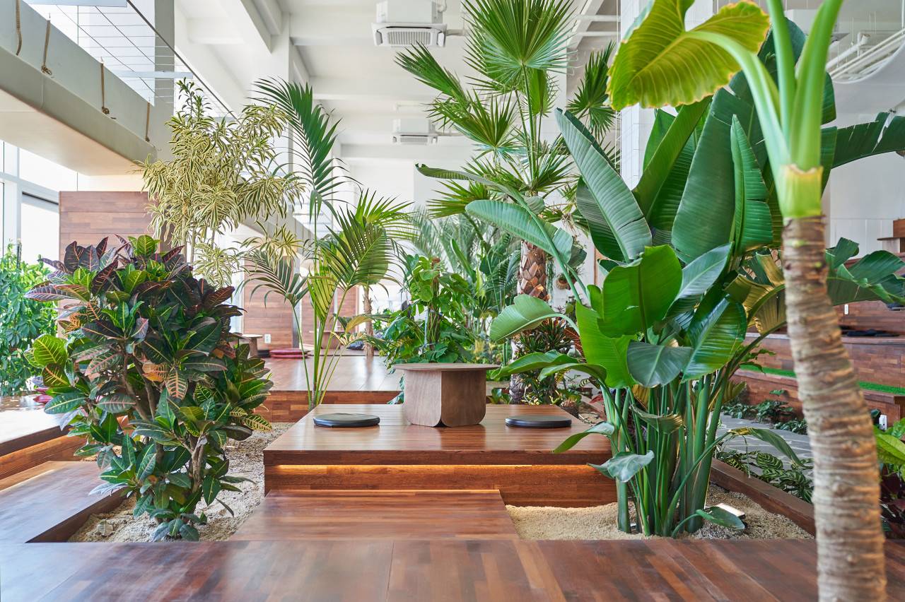 (團號 : QH-01) 油菜花祝祭·隱藏版拍攝聖地·高空展望·Premium草莓 1天團