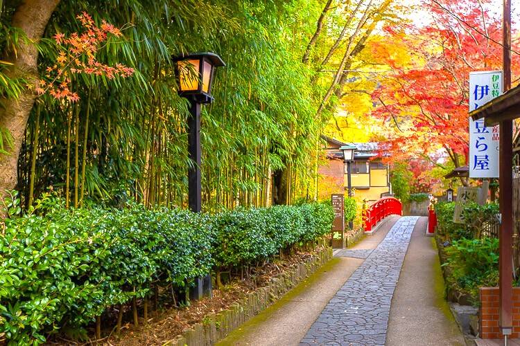 東京出發◆紅葉賞楓名所◆伊豆半島一天遊【獨鈷之湯溫泉足浴- 修善寺溫泉街 ▎小田原漁港-海鮮市場 ▎熱海銀座商店街 】(KTI-01A)