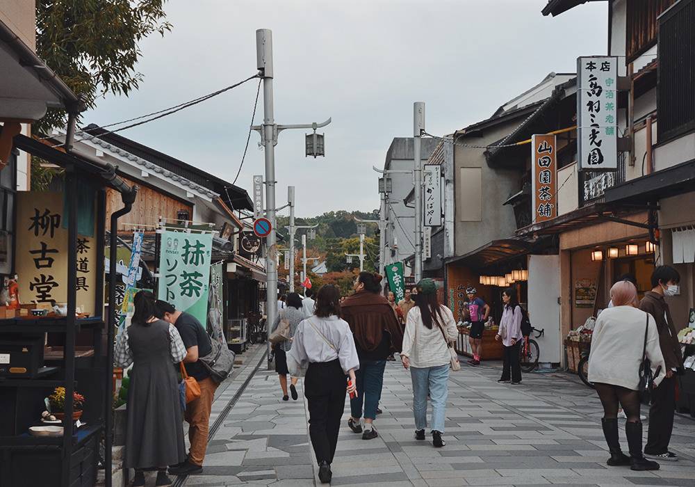 大阪宇治賞梅花椿花 1天團[城南宮-「源氏物語花庭園」、平等院-表參道,紫式部雕像、宇治抹茶街] KOU-01H
