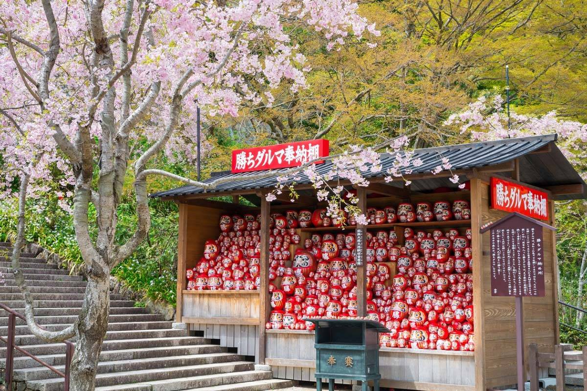 大阪賞櫻一天團-勝尾寺、 加古川堤防左岸、箕面瀑布、三田OUTLET(KOM-01H)