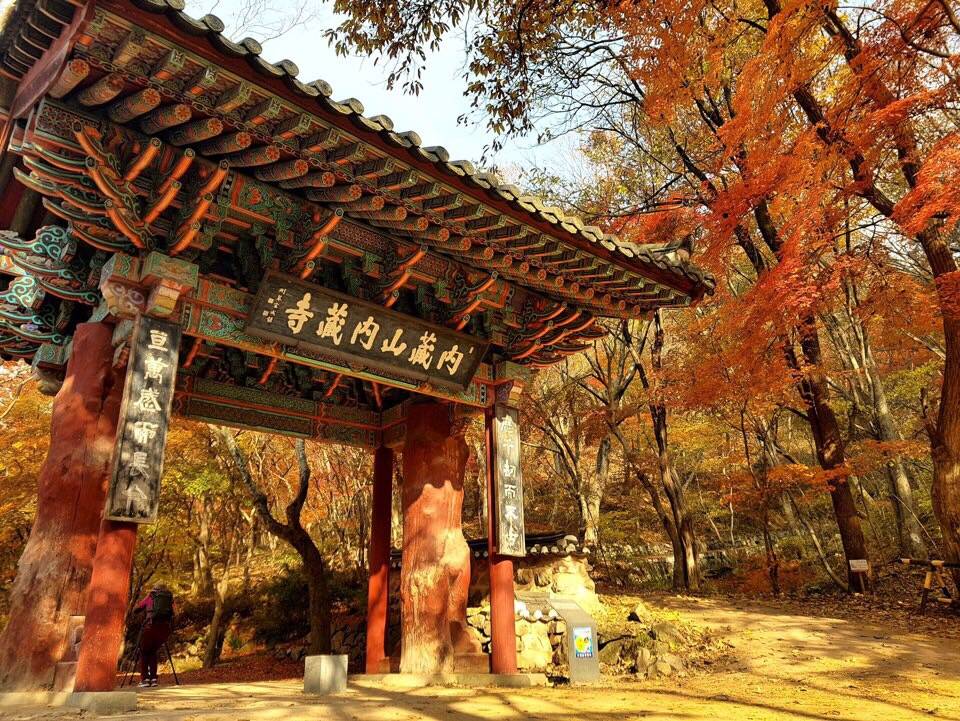 (團號 : NJ-01) <一人成團, 買一送一>  北內藏山深度一天團 2026
