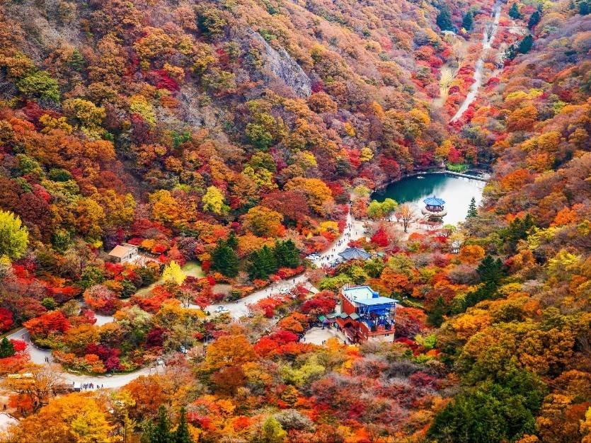 (團號 : NJ-01) <一人成團, 買一送一>  北內藏山深度一天團 2026