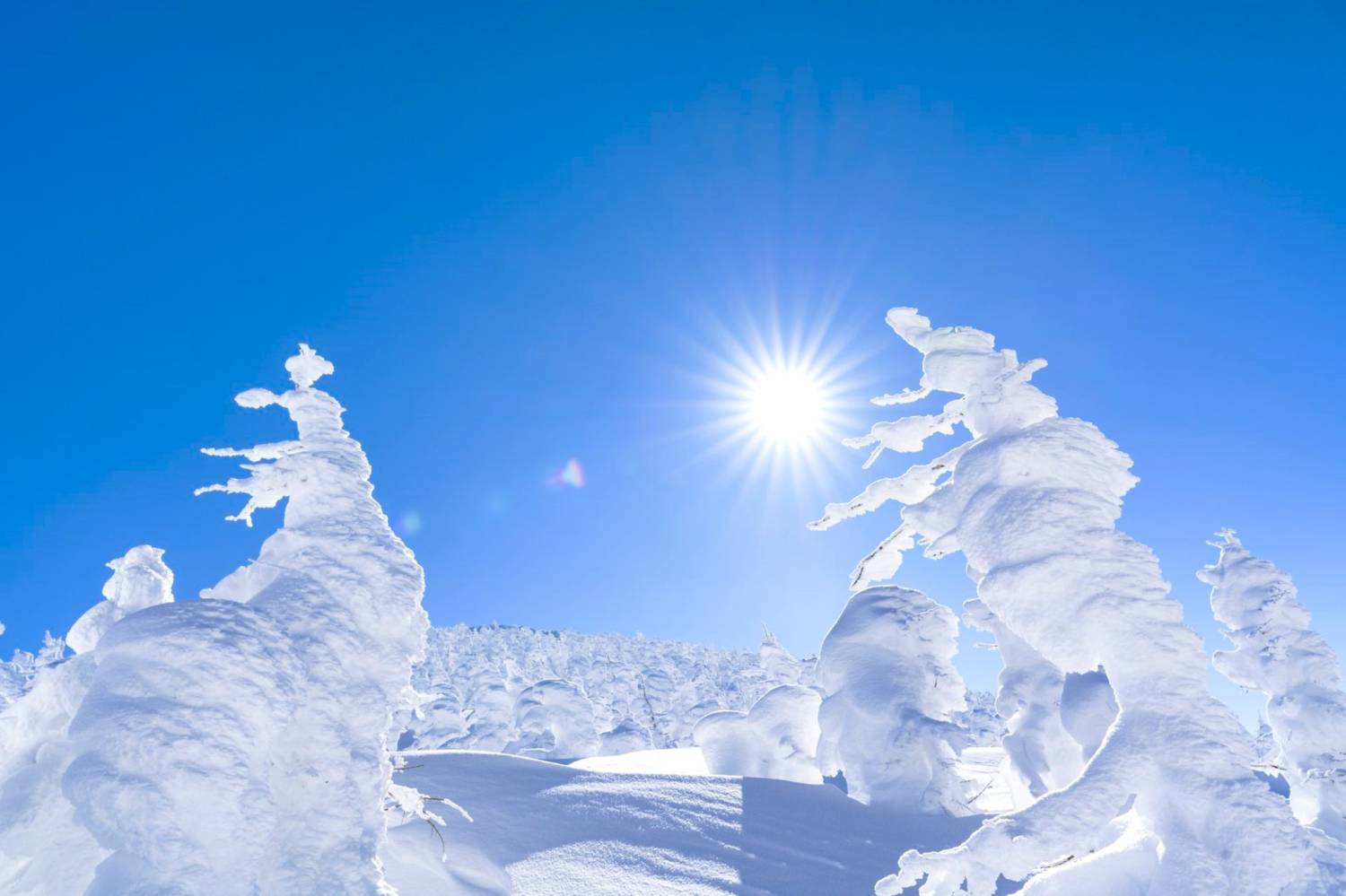 東京出發◆藏王樹冰▎銀山溫泉街▎豬苗代溫泉滑雪玩雪兜▎任食草莓園▎冬日三天團KTZ-03