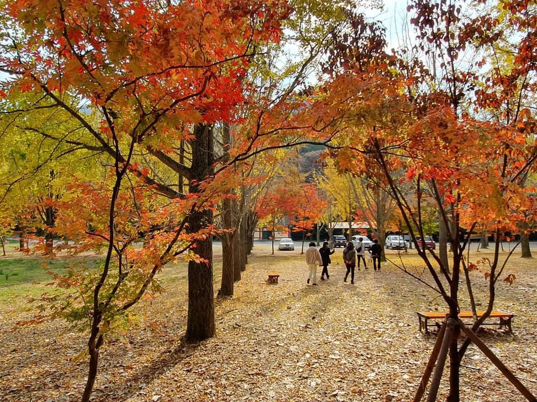 (團號:SN-02)內藏山, 白羊寺, 全州韓屋村二天團