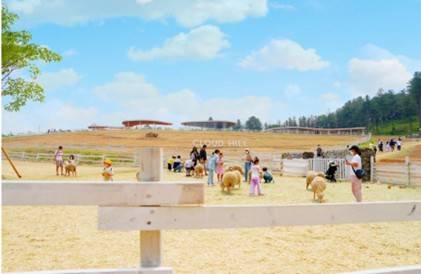 (團號 : HP-01/26) <一人成團> 香甜水蜜桃 × 人氣 Luge滑板車 × 草泥馬樂園一天團