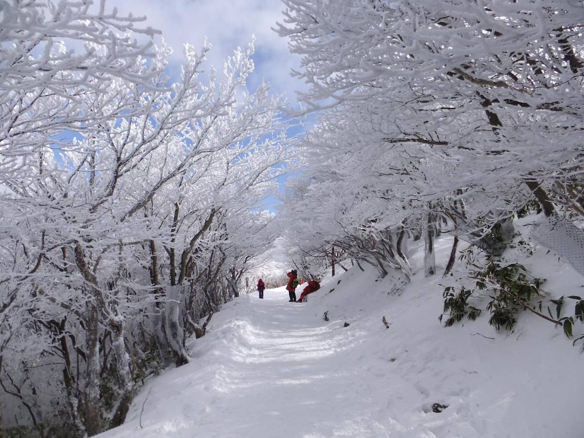 名古屋樹冰滑雪一天團-御在所岳+AQUAIGNIS+草莓果園(KNG-01F)