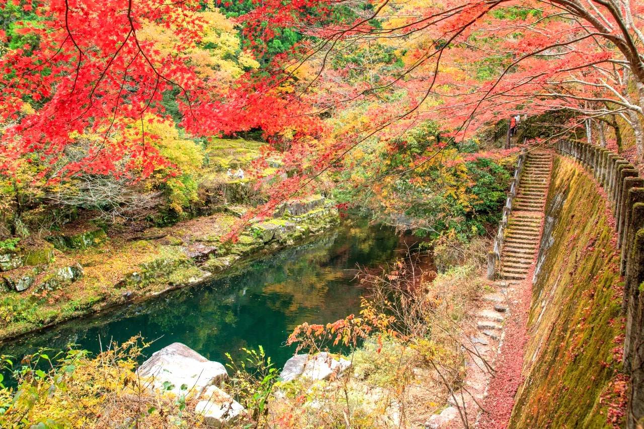 岡山-森之藝術祭 賞紅葉看藝術三天團 【四大藝術展場: 奈義現代美術館-奥津渓- GREENable HIRUZEN-満奇洞▎紅葉名所-後樂園▎倉敷古街】KOO-03ART 大阪出發