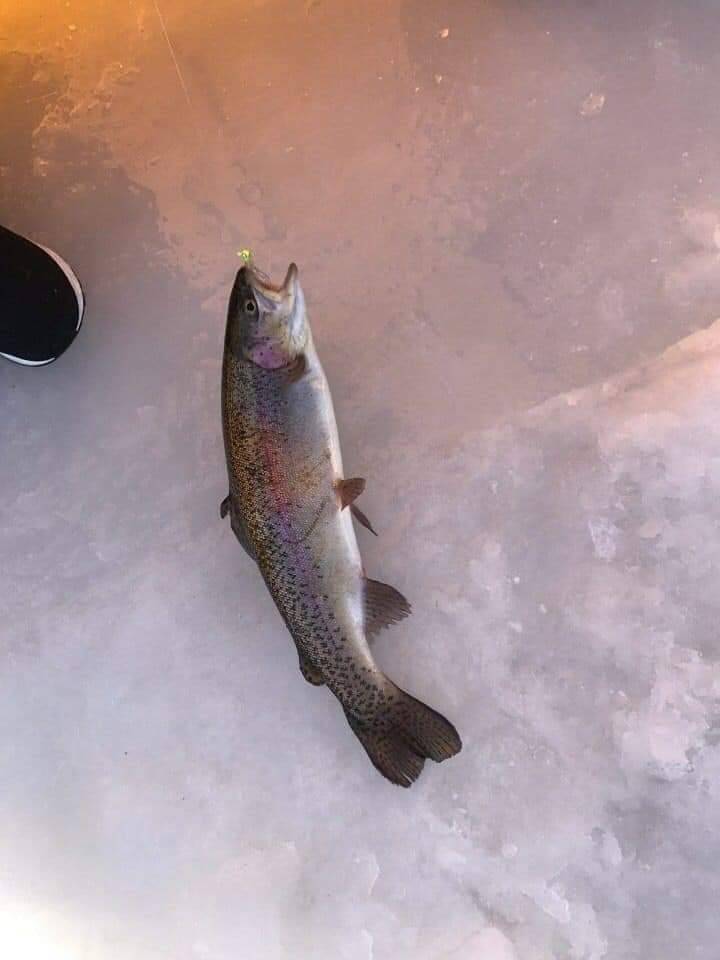 (團號:-FH01) 平昌釣冰魚 一天團