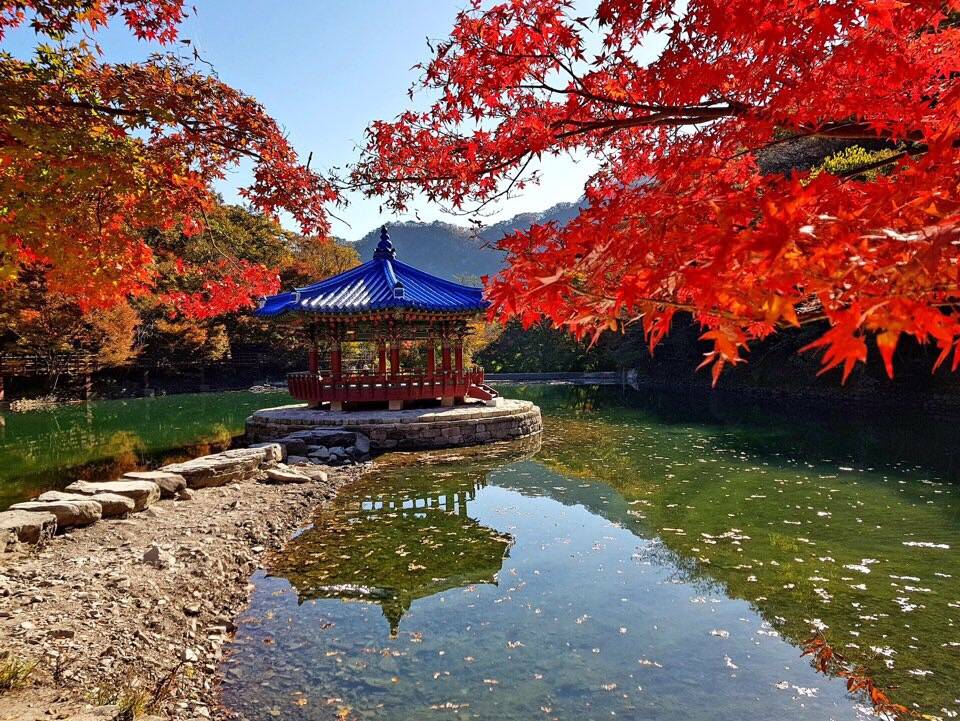 (團號 : NJ-01) <一人成團, 買一送一>  北內藏山深度一天團 2026