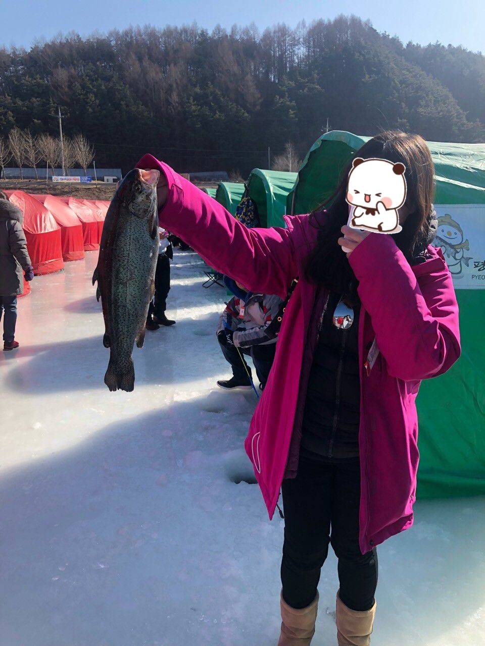 (團號:-FH01) 平昌釣冰魚 一天團