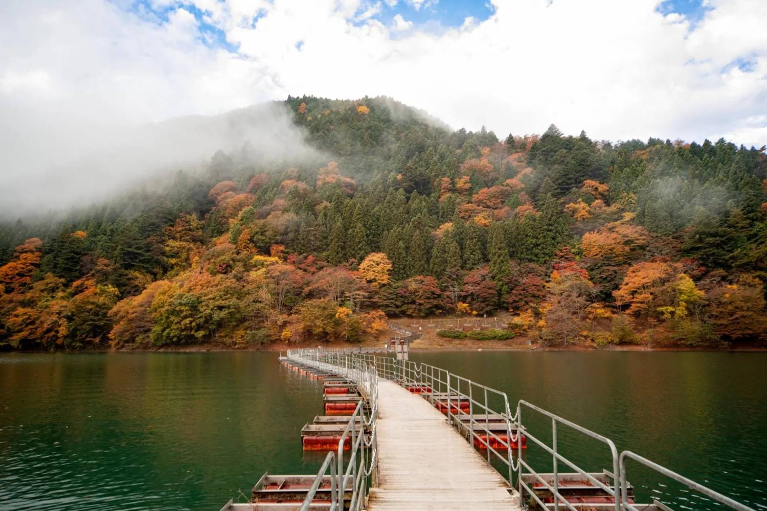 東京出發◆高尾山,  奥多摩湖 賞花 一天遊【紅葉名所-高尾山 ▎奥多摩湖~ 麥山浮橋 】(KTM-01A)
