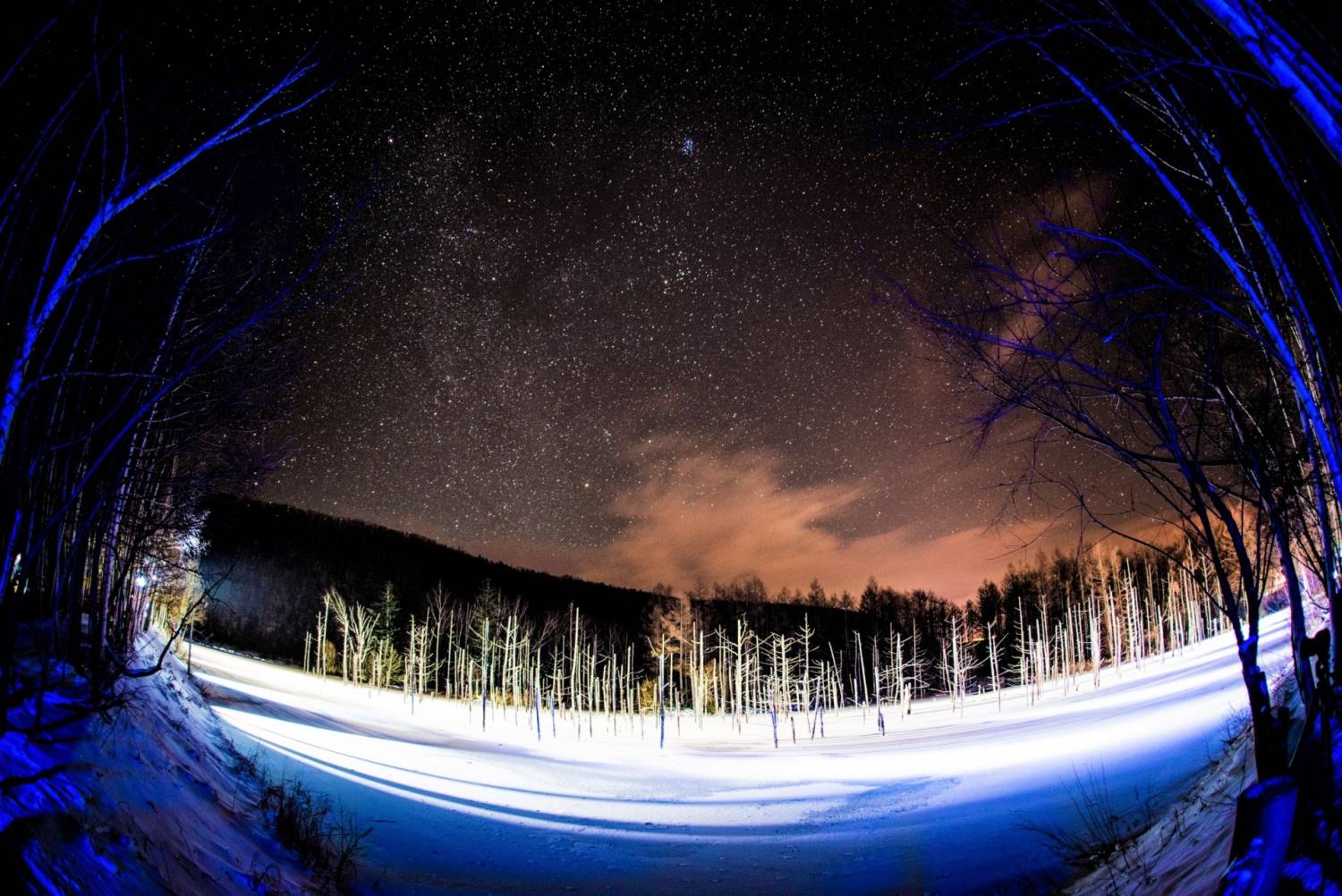 北海道飄雪紛紛5選-破冰船-冰上釣魚-雪上電單車-青池點燈-企鵝巡遊，晚上浸白金溫泉，怡然自樂【破冰船體驗▎網走冰湖上釣魚體驗▎旭山動物園▎限定點燈青池】札幌出發KHE-03F