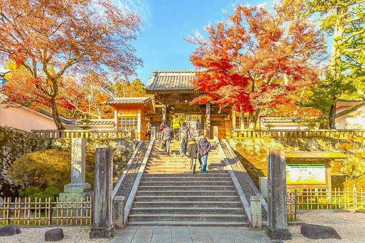 東京出發◆紅葉賞楓名所◆伊豆半島一天遊【獨鈷之湯溫泉足浴- 修善寺溫泉街 ▎小田原漁港-海鮮市場 ▎熱海銀座商店街 】(KTI-01A)