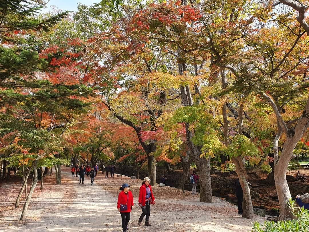 (團號:SN-02)內藏山, 白羊寺, 全州韓屋村二天團