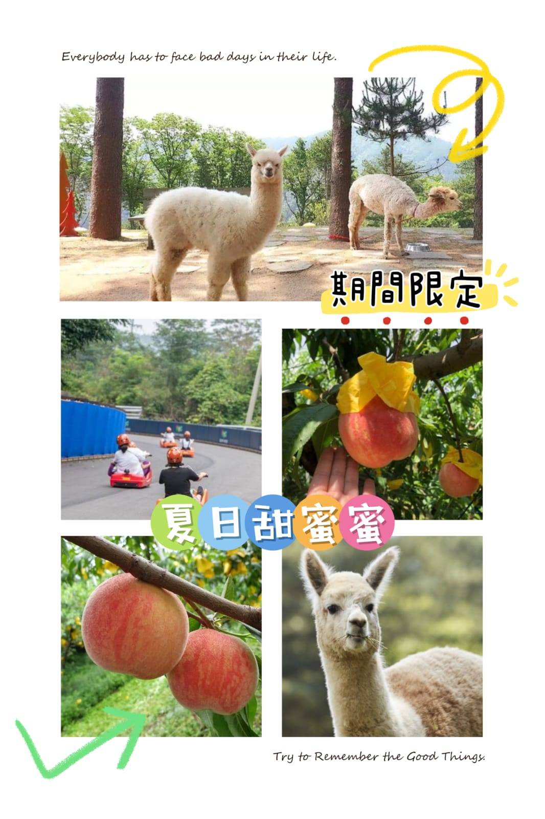 (團號:HP-01) 首爾出發 #保證成團# 韓國最長人氣Luge滑板車,採水蜜桃,草泥馬樂園一天團