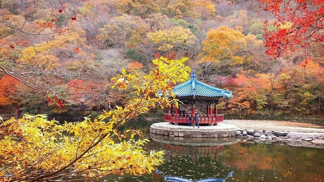 (團號:NJ-01) (10月&11月份) 2024全新內藏山內藏寺紅葉慶典一天團