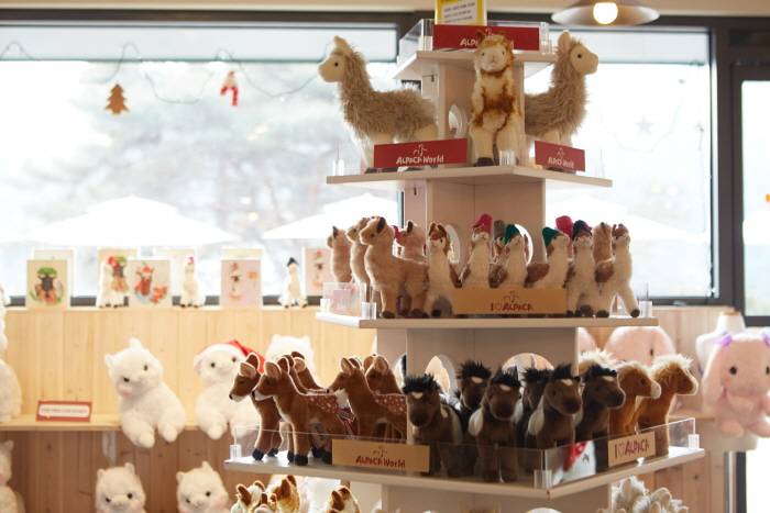 (團號 : HP-01/26) <一人成團> 香甜水蜜桃 × 人氣 Luge滑板車 × 草泥馬樂園一天團