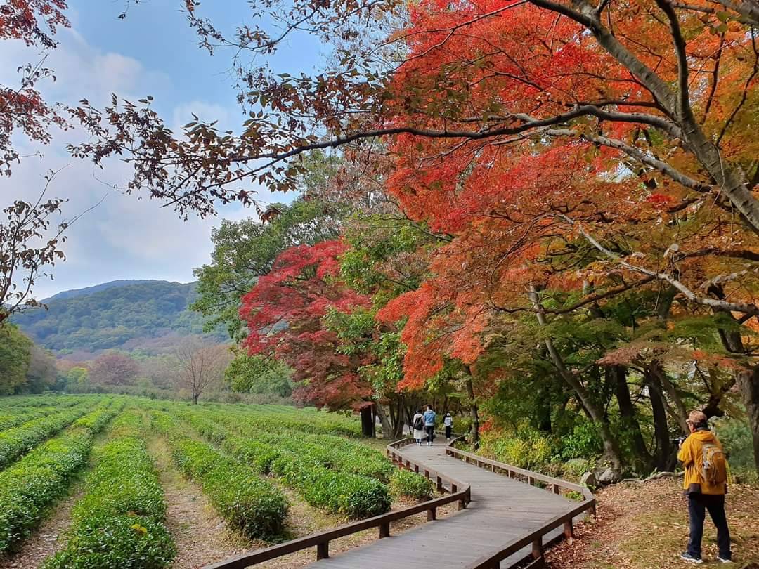 (團號:SN-02)內藏山, 白羊寺, 全州韓屋村二天團