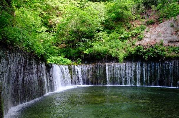 山中湖時令季節花海 滿盛!!玩轉富士山 輕井澤夢幻美景 2天團【山中湖、果園任食、入住八岳森林小木屋】KTK-02H2