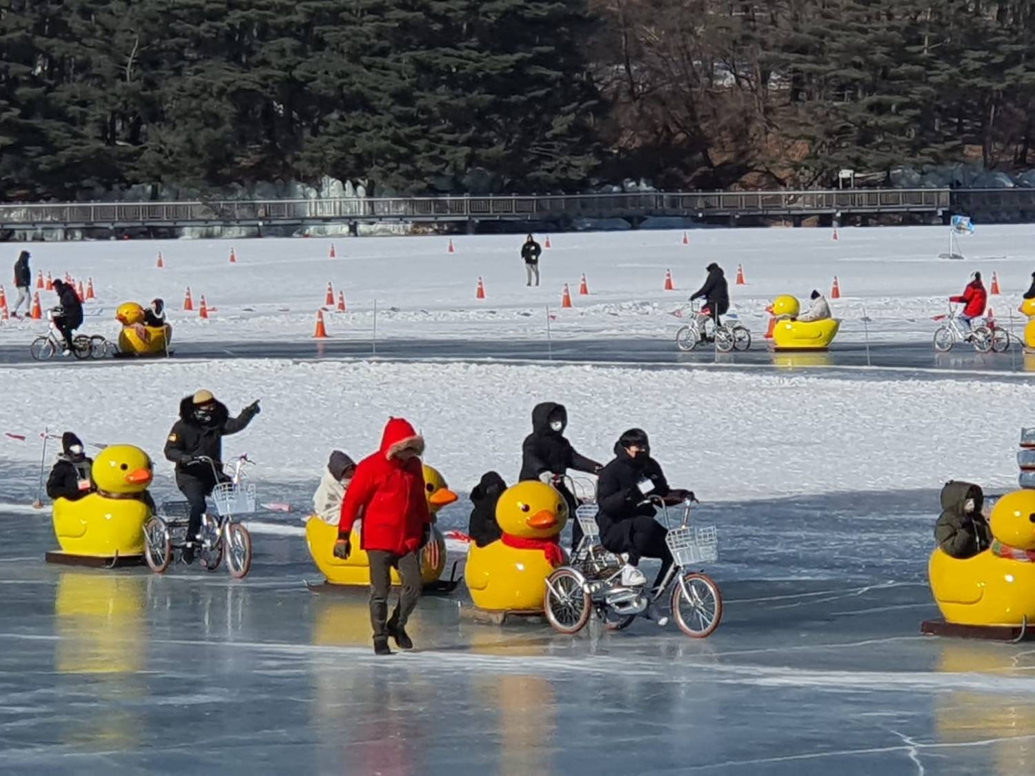 (團號:YD-01)黃色鴨仔雪橇,天空之橋,鳥巢型展望台咖啡廳一天團