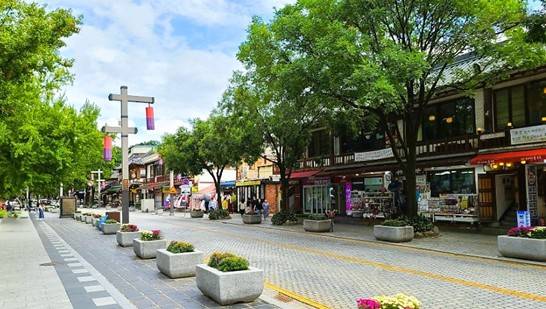 (團號 : QG-01) 春日限定<全州韓屋村> +「韓國之春，從光陽梅花村開始」光阳春韵·梅花盛宴之旅 1天團