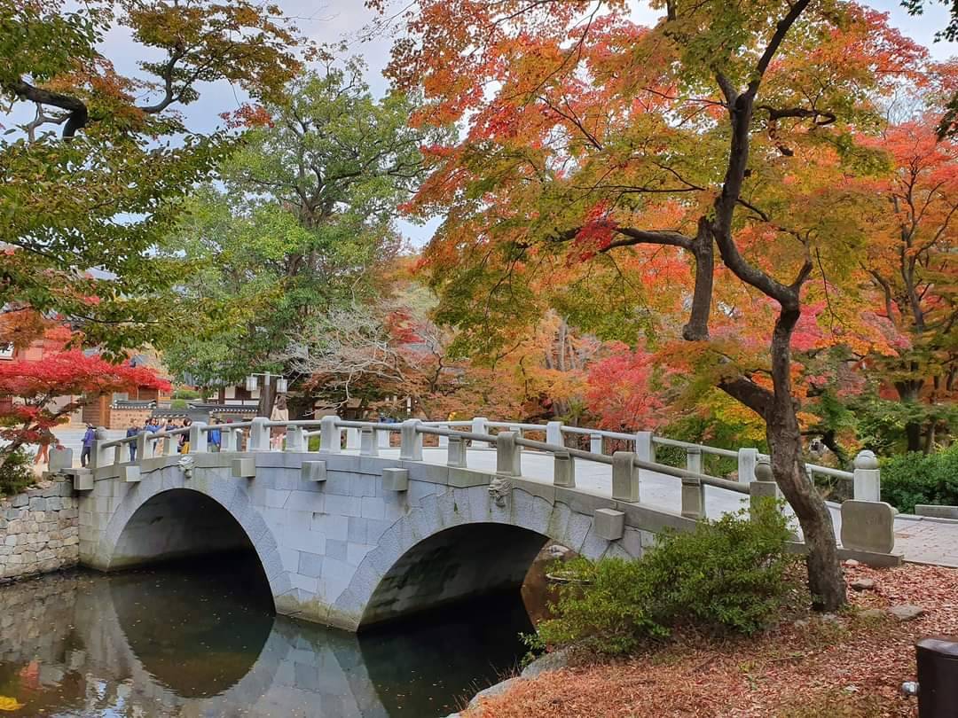 (團號:SN-02)內藏山, 白羊寺, 全州韓屋村二天團