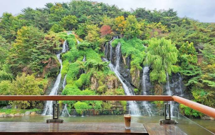(團號:NR-01) 10月限定 · 波波草夢幻打卡一日遊