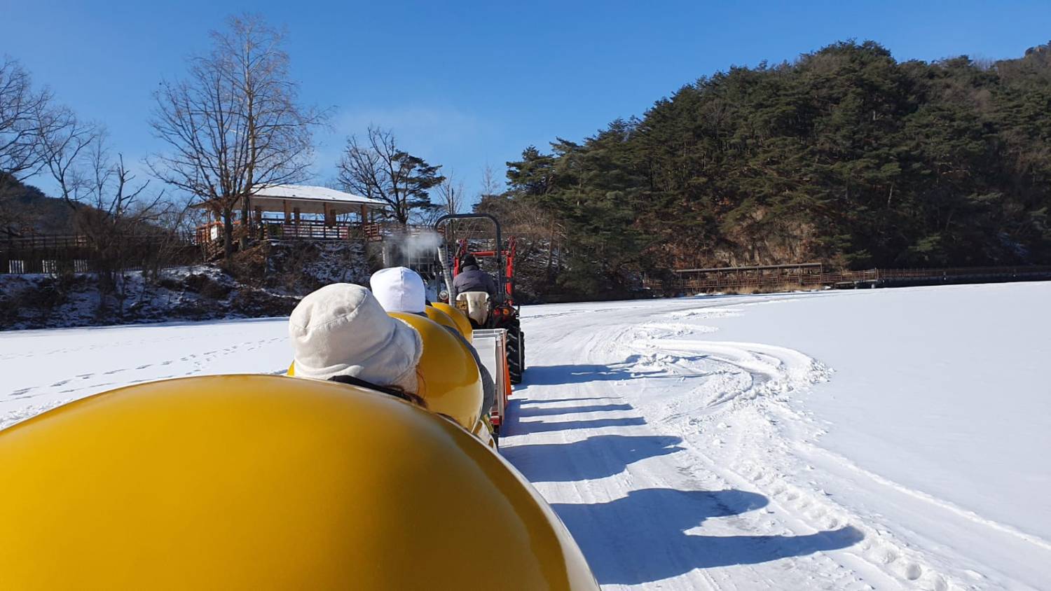 (團號:YD-01)黃色鴨仔雪橇,天空之橋,鳥巢型展望台咖啡廳一天團