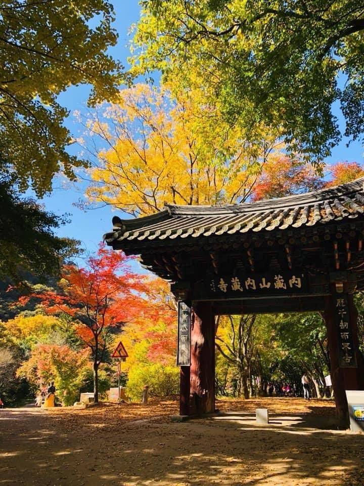 (團號:NJ-01) (10月&11月份) 2024全新內藏山內藏寺紅葉慶典一天團