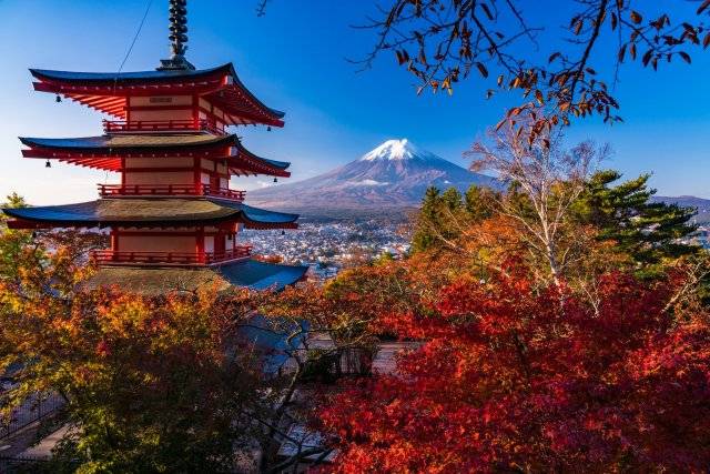東京富士山河口湖紅葉-1天團 【忍野八海、淺間神社、河口湖紅葉迴廊、富士山博物館】KTF-01A