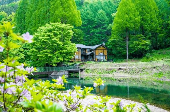 (團號 : FN-01) 2026韓劇迷必追！從早玩到晚 一天團