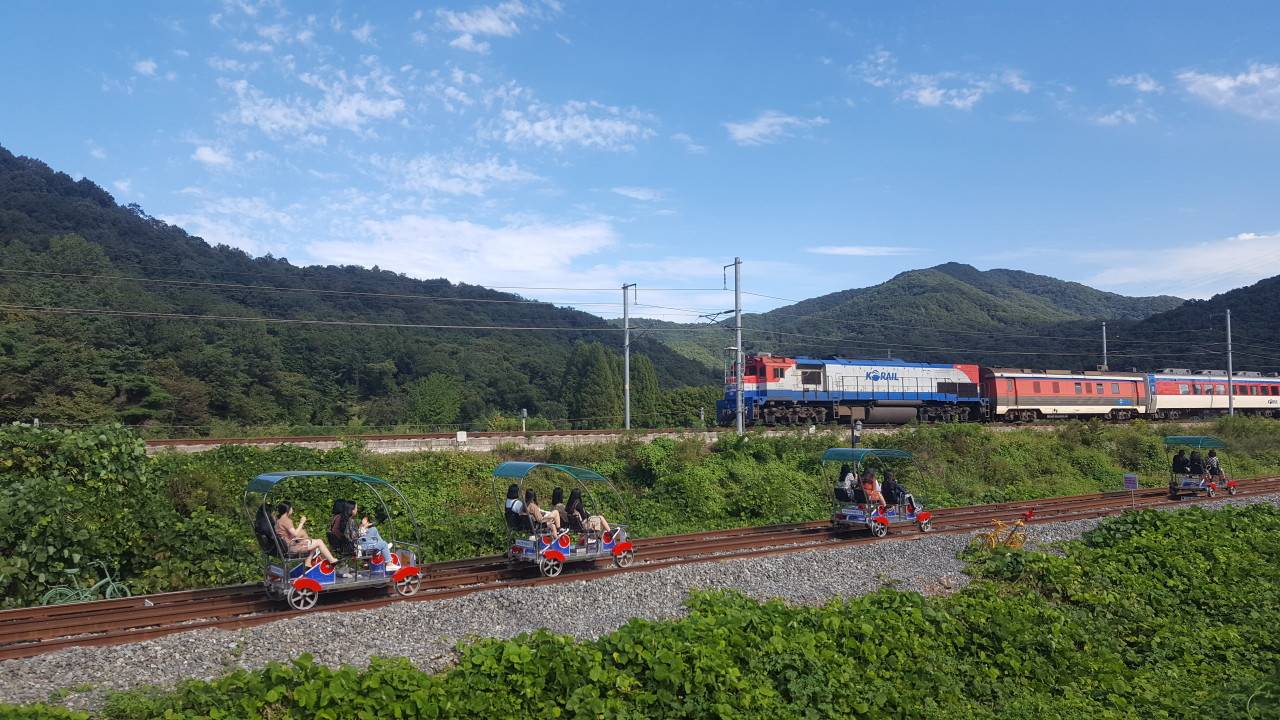 (團號 : JQ-01) 芝櫻花慶典+傳統氣息+鐵路單車 ·芝櫻韓屋單車行 一天團