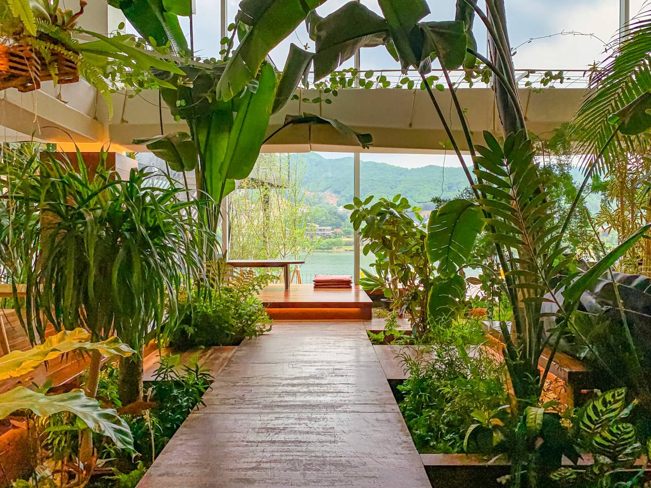 (團號 : QH-01) 油菜花祝祭·隱藏版拍攝聖地·高空展望·Premium草莓 1天團