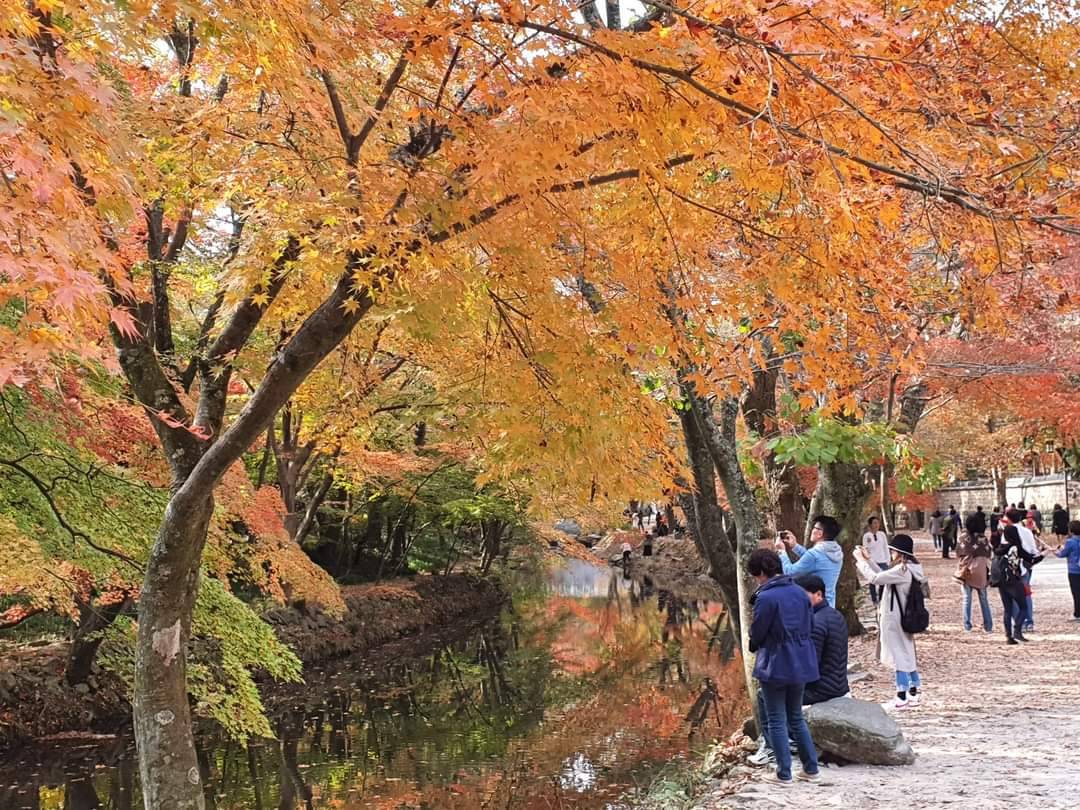 (團號:SN-02)內藏山, 白羊寺, 全州韓屋村二天團