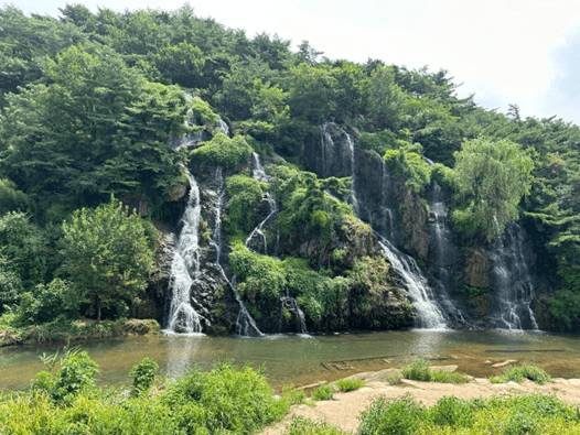 (團號 : ES-01) 隱世皇櫻花秘境·高空展望·Premium草莓·療癒瀑布Café 1天團