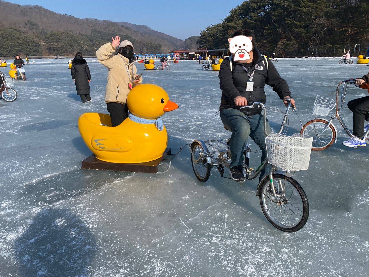 (團號:YD-01)黃色鴨仔雪橇,天空之橋,鳥巢型展望台咖啡廳一天團