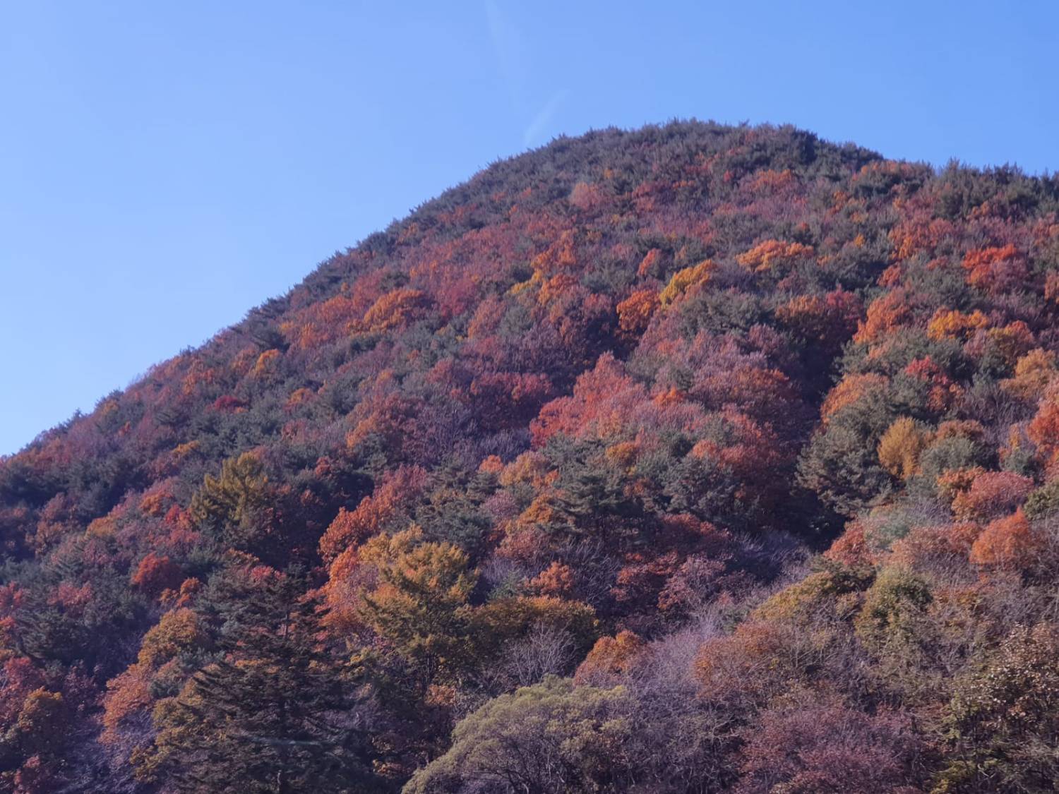 (團號:MT-01) (10月&11月份) 追楓葉銀杏韓劇美景拍攝地健行 一天團