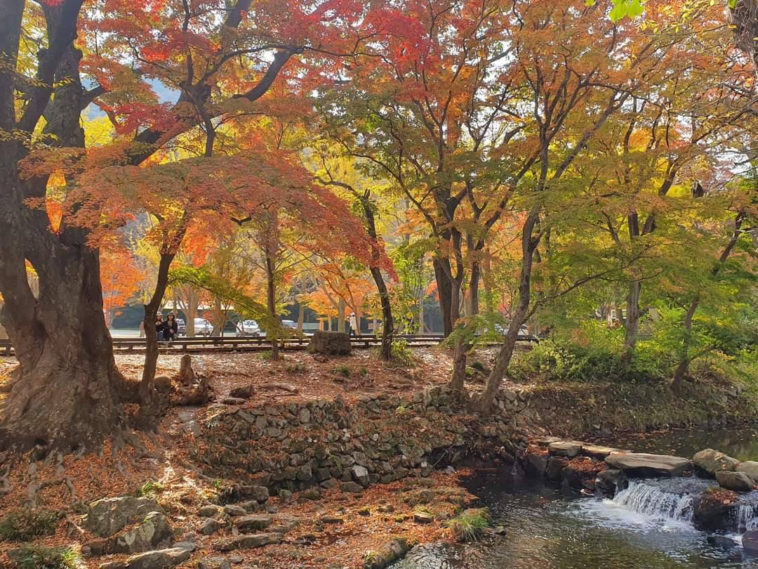 (團號:SN-02)內藏山, 白羊寺, 全州韓屋村二天團