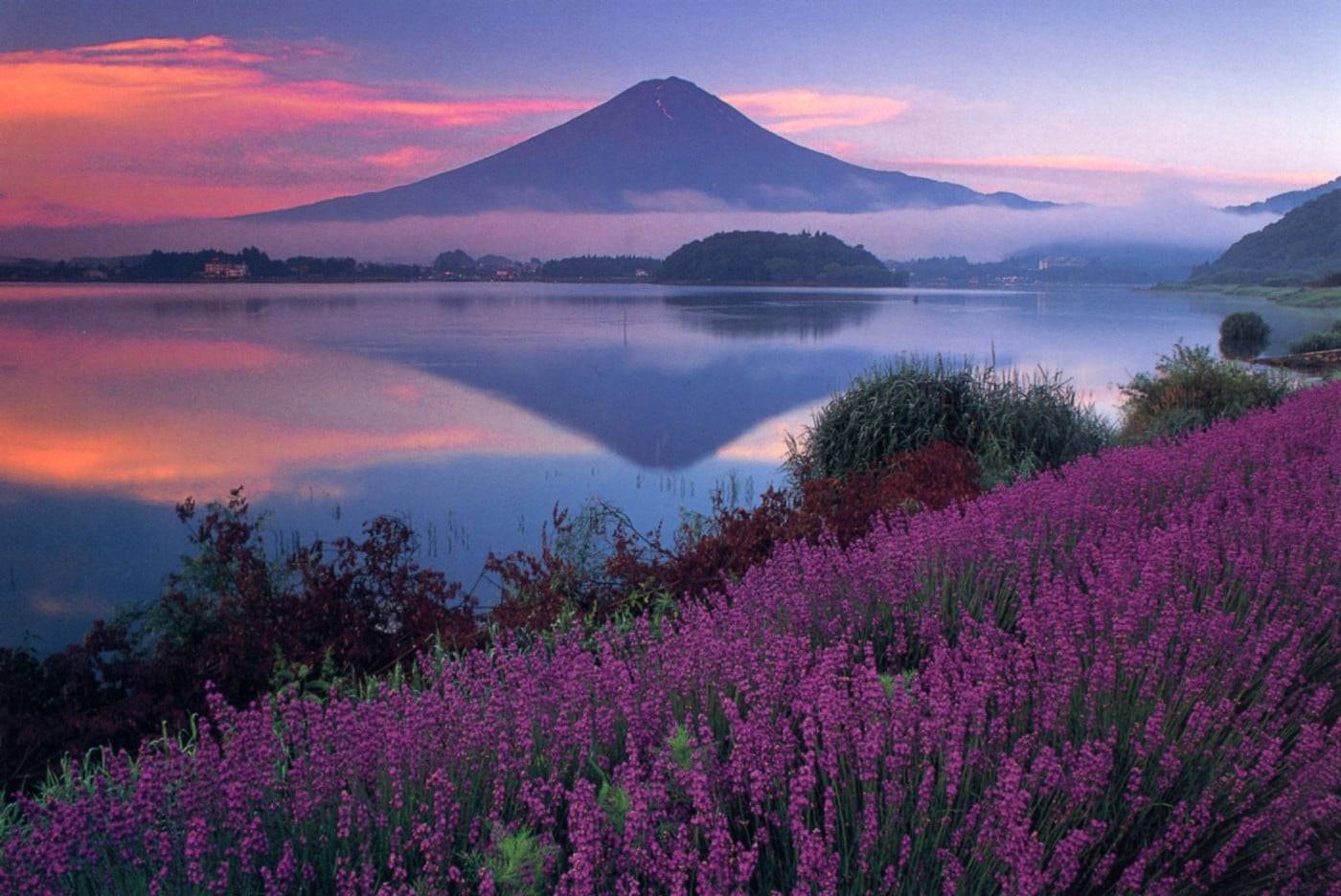 東京出發◆富士山花田,清里高原,時令果園 溫泉 2天團【大石公園花海、清里高原1900公尺的山頂絕景+斜坡滑車、入住八岳森林小木屋】KTK-02A2