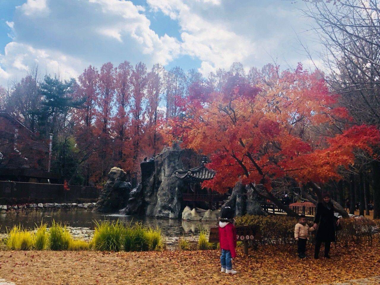 (團號:NC-01) (限額買一送一優惠) 首爾出發 春川三岳山湖水纜車,南怡島紅葉，傳統茶屋 一天團